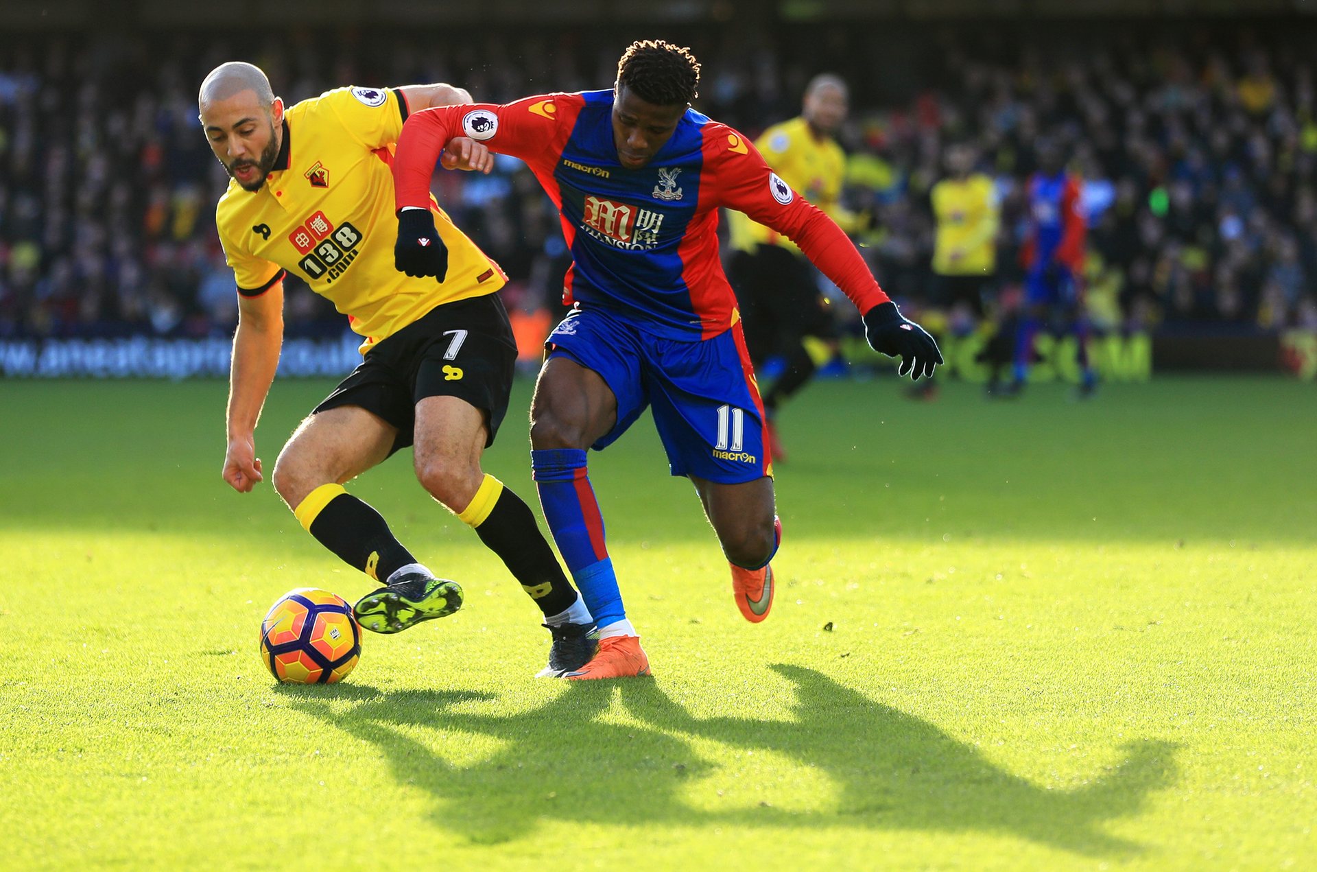 累了宝贵的 累了宝贵的